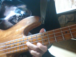Playing Bass